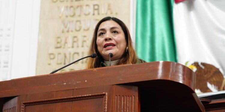 Piden campañas urgentes para frenar ataques de perros en la CDMX