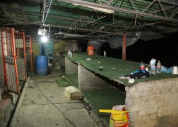 Rescate “histórico” o desalojo cuestionado: crecen críticas al Gobierno CDMX por retiro masivo de perros del Refugio Franciscano