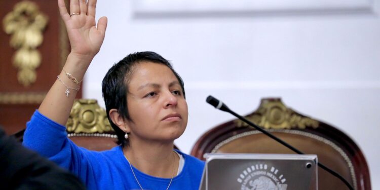 Caso Albergue Franciscano exhibe vacío de control en refugios animales de la CDMX, advierte diputada