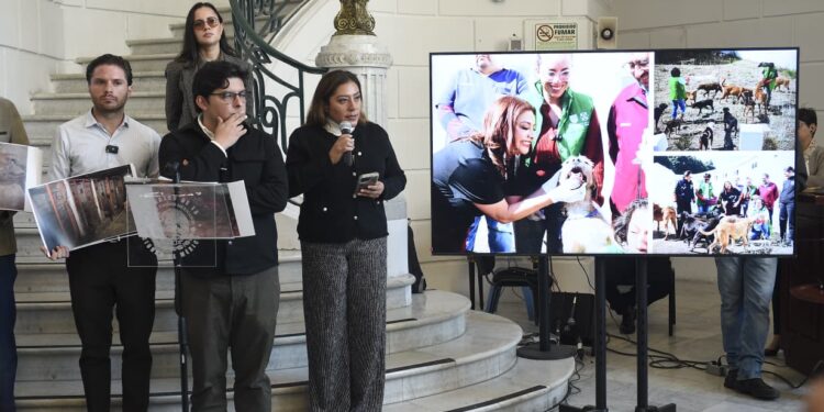 Morena cierra filas y blinda a Clara Brugada tras desalojo del Refugio Franciscano