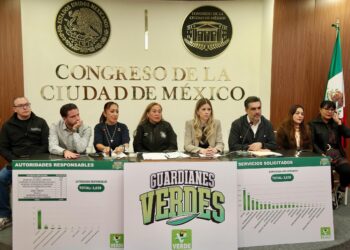 Verde amenaza con cercar oficinas públicas tras ola de denuncias: “La ciudadanía está harta”