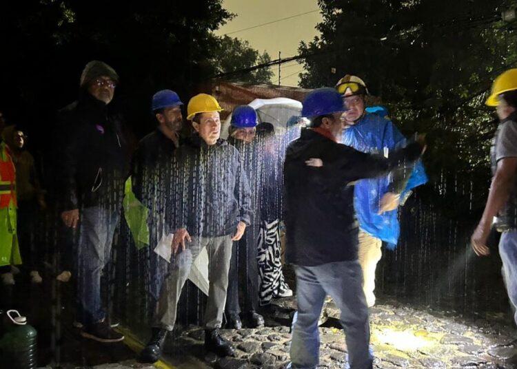 Árbol derriba seis postes y desata emergencia en Coyoacán