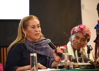 Pueblos originarios toman la palabra en el Congreso